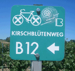 Kirschblütenradweg B12 